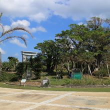 中庭から展望塔、現在台風被害のため閉鎖中