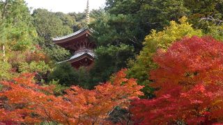 人に教えたくない