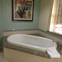 バスタブです。仕切りがなくオープンでした。