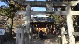 あまり目立たない