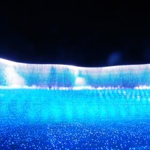 今年はナイアガラの滝