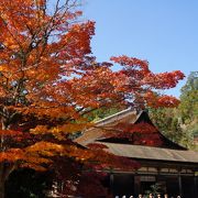 紅葉の善水寺（湖南三山）