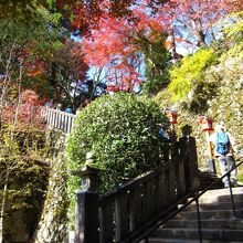 ケーブル降り場からの合流付近