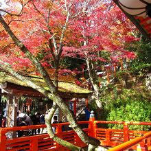 紅葉が綺麗な辺り