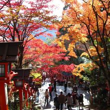 貴船へ抜けるか、Uターン。写真はUターン,