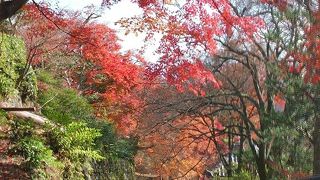 京都 西山の名刹にして四季の花咲く桃源郷か