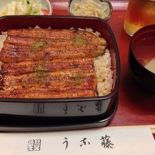 うな藤の特上うな重！