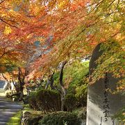 丹波のもみじめぐりには是非！