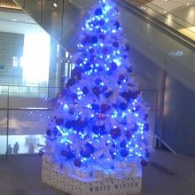 11月の２Fにはツリーも飾られていました