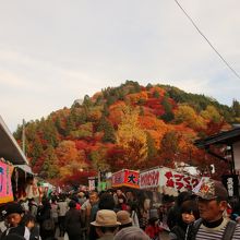 紅葉の山への道