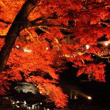 地元テレビ生中継やってました