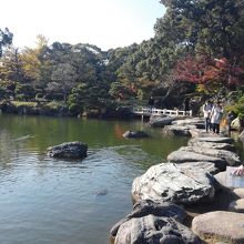 岩崎弥太郎が集めた石を渡って池を間近で散策できます