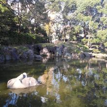 白鳥が身を寄せ合っているような石