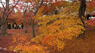 2014年11月28日の東福寺の紅葉