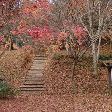 自然探勝道入口
