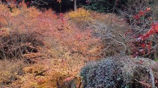 紅葉の名所と言えるほどの規模かどうか（宇甘渓）