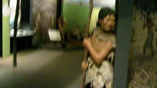 ヒョウゴケンリツコウコハクブツカン