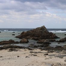 太平洋側で岩がごつごつ