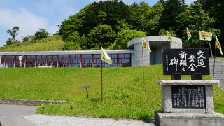 木々が成長しすぎてしまい・・・