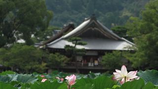 穴場！人ごみを避けてゆっくりできる名所