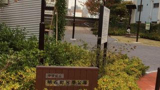 隅田川を眺める