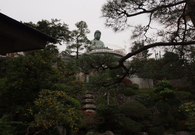 大仏様