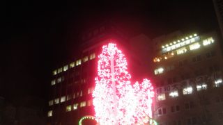 ホワイトイルミネーションを観に行きました