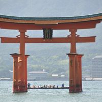 厳島神社の大鳥居
