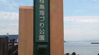 釣りをしない方は入場料を払ってまで立ち入る価値はなし