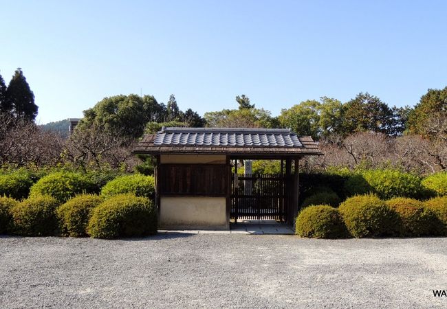 随心院小野梅園の観梅と合わせて春先には行われるイベント