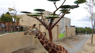 動物園より動物園号の方が楽しい