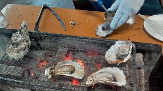 冬の牡蠣の時期限定営業で、焼き牡蠣はじめ炭火ＢＢＱをワイワイやりながら楽しめます！