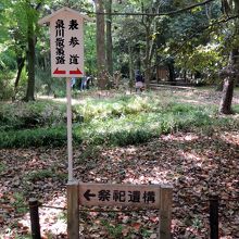 糺の森（ただすのもり）の中の立ち寄り先