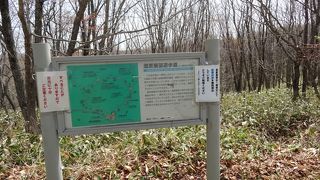 湿原の中の遊歩道