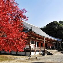 真っ赤な紅葉の醍醐寺金堂
