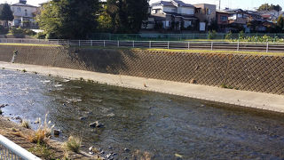横浜市と大和市の境にある境川