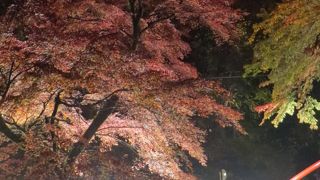紅葉ライトアップ