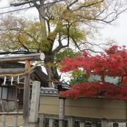 三条通に面した斎宮神社。紅葉が見頃。