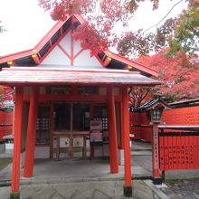 真っ赤な紅葉に囲まれて。