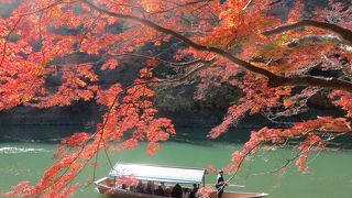今年も大堰川の紅葉は見事。