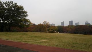 今が紅葉真っ盛り