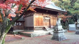 紅葉がきれいでした