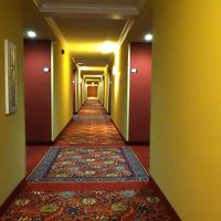 廊下は、彩りも高級感があります。