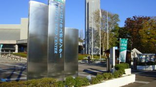 見どころが多いです