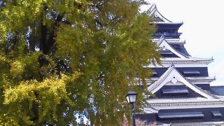 殿と構えた熊本城