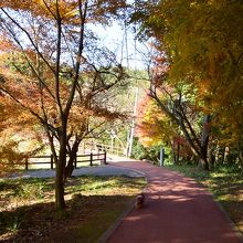 展望台までの遊歩道