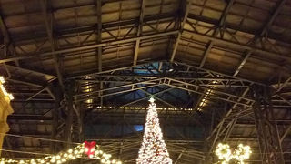 東京ディズニーランド　クリスマスファンタジー！