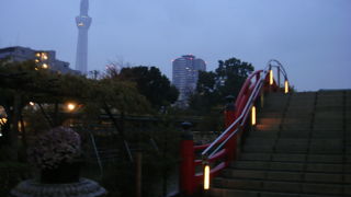 社殿の背後にスカイツリー