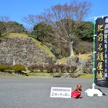 ペットも同伴ではいれます。