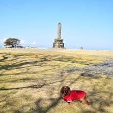 だだっ広い本丸跡